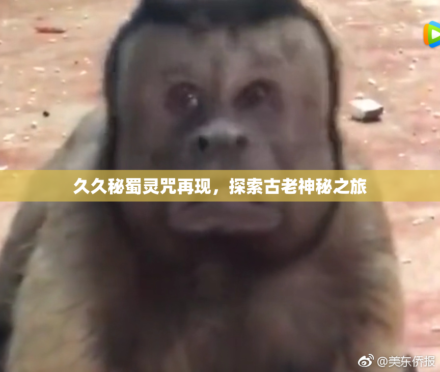 久久秘蜀灵咒再现，探索古老神秘之旅