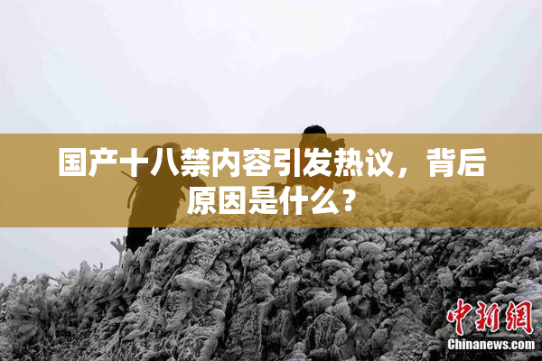 国产十八禁内容引发热议，背后原因是什么？