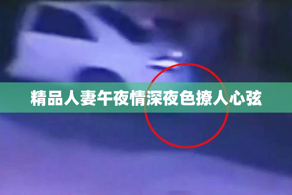 精品人妻午夜情深夜色撩人心弦
