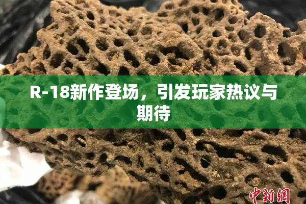 R-18新作登场，引发玩家热议与期待