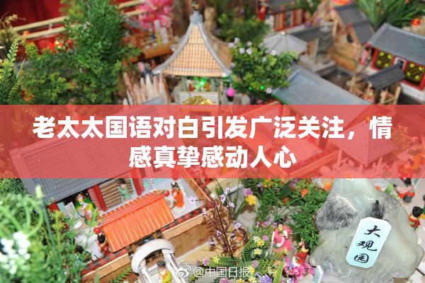 老太太国语对白引发广泛关注，情感真挚感动人心