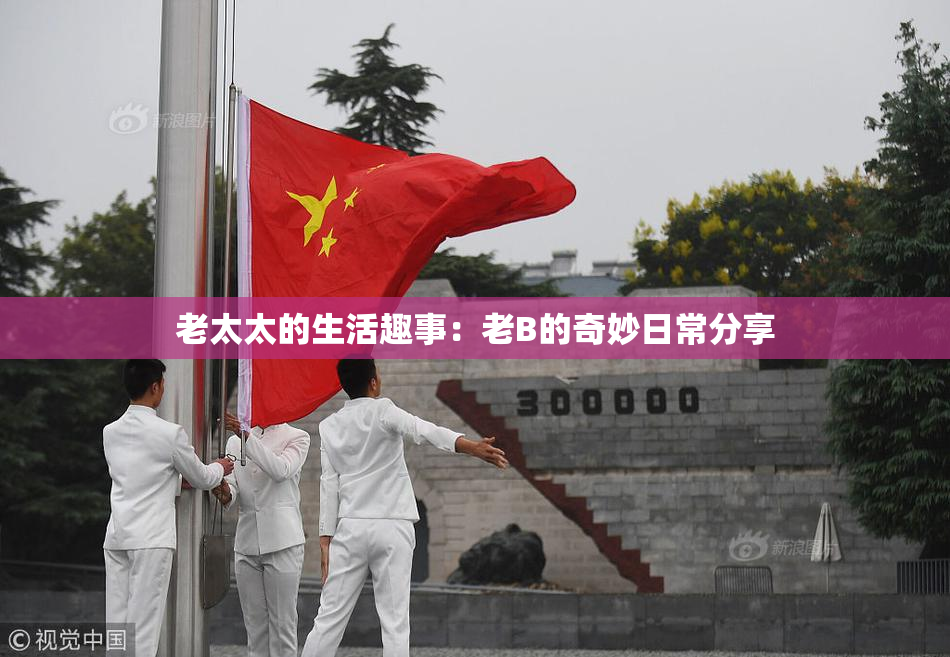 老太太的生活趣事：老B的奇妙日常分享
