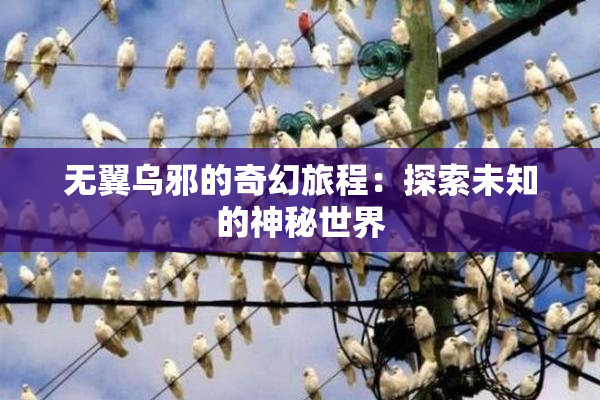 无翼乌邪的奇幻旅程：探索未知的神秘世界