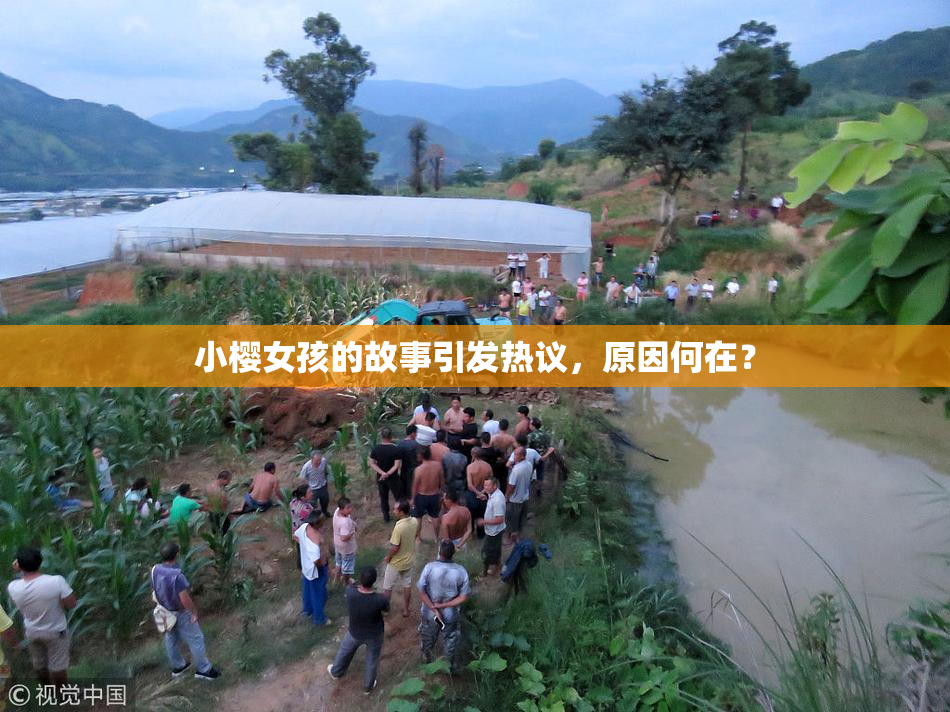 小樱女孩的故事引发热议，原因何在？
