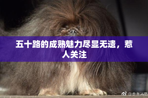 五十路的成熟魅力尽显无遗，惹人关注