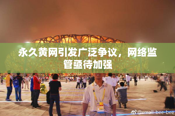 永久黄网引发广泛争议，网络监管亟待加强