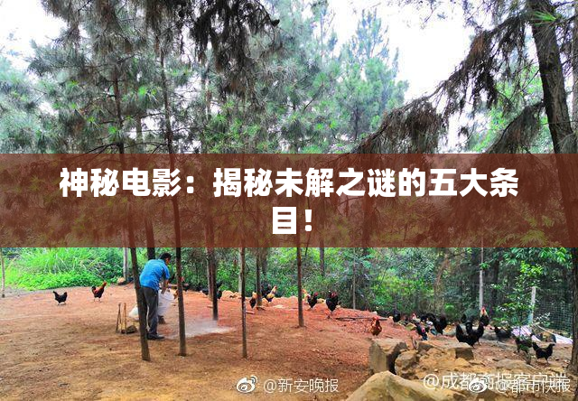 神秘电影：揭秘未解之谜的五大条目！