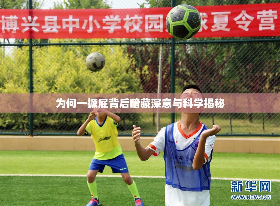 为何一撅屁背后暗藏深意与科学揭秘