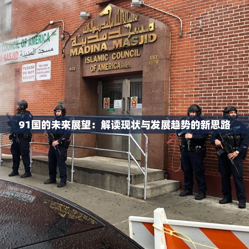 91国的未来展望：解读现状与发展趋势的新思路