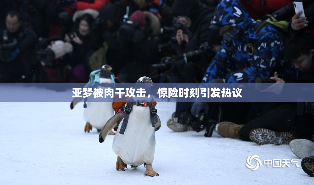 亚梦被肉干攻击，惊险时刻引发热议