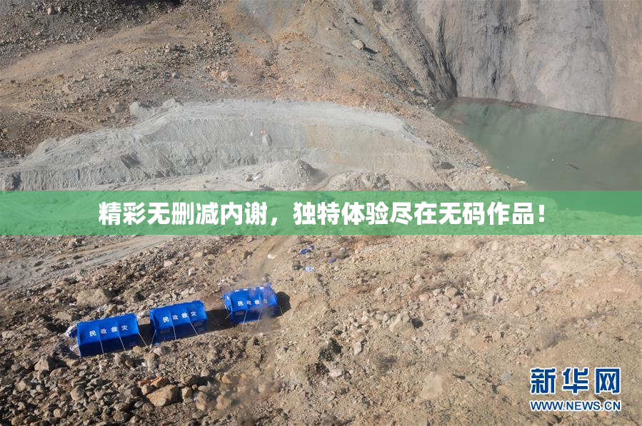 精彩无删减内谢，独特体验尽在无码作品！