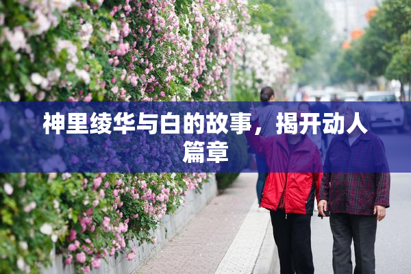神里绫华与白的故事，揭开动人篇章