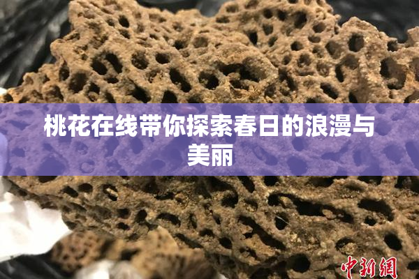 桃花在线带你探索春日的浪漫与美丽