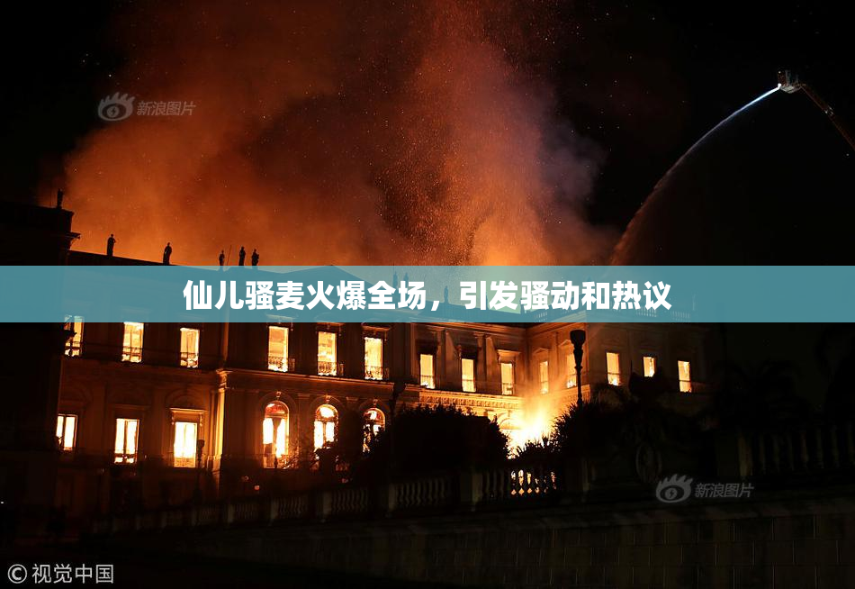 仙儿骚麦火爆全场，引发骚动和热议