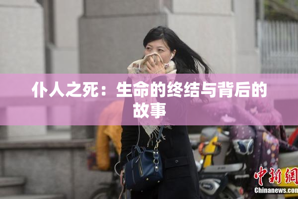 仆人之死：生命的终结与背后的故事