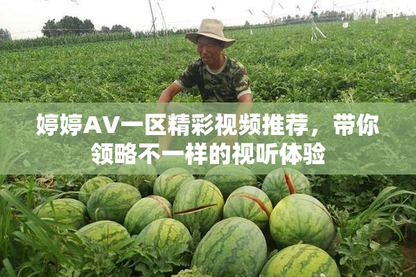 婷婷AV一区精彩视频推荐，带你领略不一样的视听体验