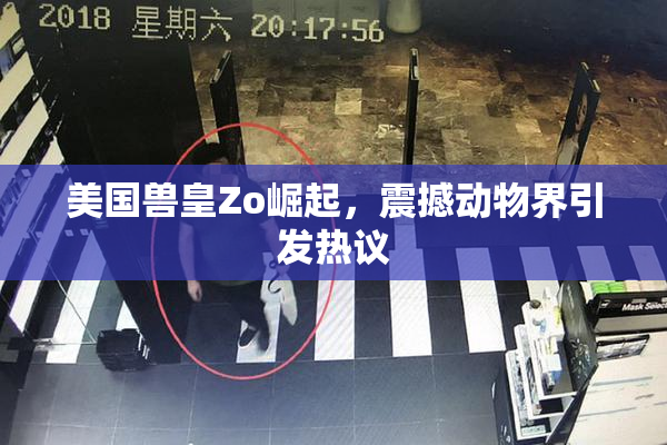 美国兽皇Zo崛起，震撼动物界引发热议