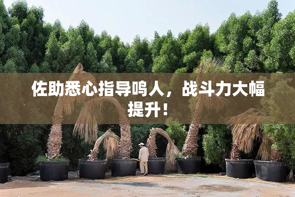 佐助悉心指导鸣人，战斗力大幅提升！