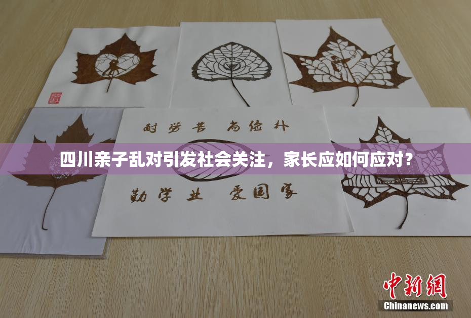 四川亲子乱对引发社会关注，家长应如何应对？