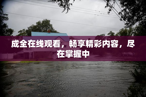 成全在线观看，畅享精彩内容，尽在掌握中