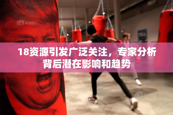 18资源引发广泛关注，专家分析背后潜在影响和趋势