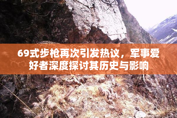 69式步枪再次引发热议，军事爱好者深度探讨其历史与影响