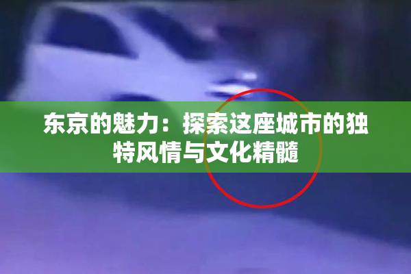东京的魅力：探索这座城市的独特风情与文化精髓