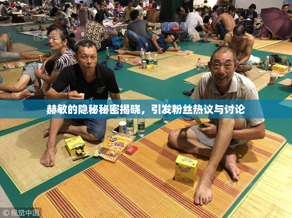 赫敏的隐秘秘密揭晓，引发粉丝热议与讨论