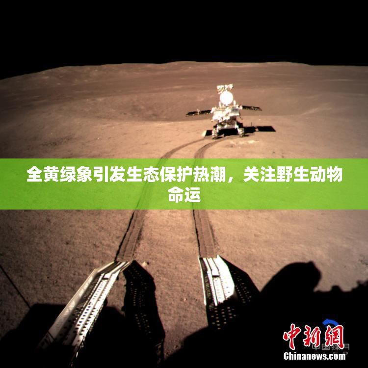 全黄绿象引发生态保护热潮，关注野生动物命运