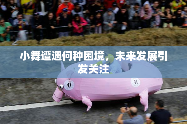 小舞遭遇何种困境，未来发展引发关注