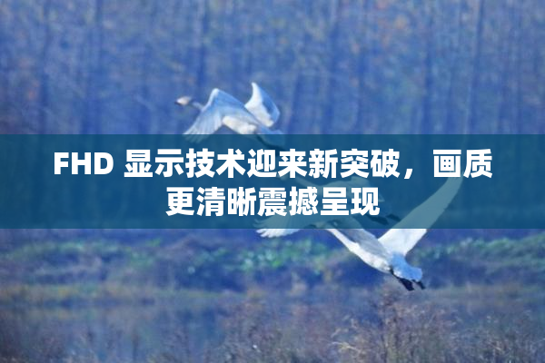 FHD 显示技术迎来新突破，画质更清晰震撼呈现