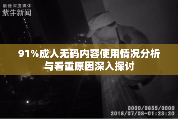 91%成人无码内容使用情况分析与看重原因深入探讨