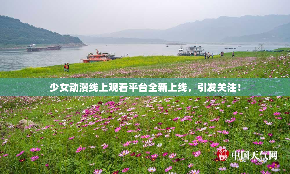 少女动漫线上观看平台全新上线，引发关注！