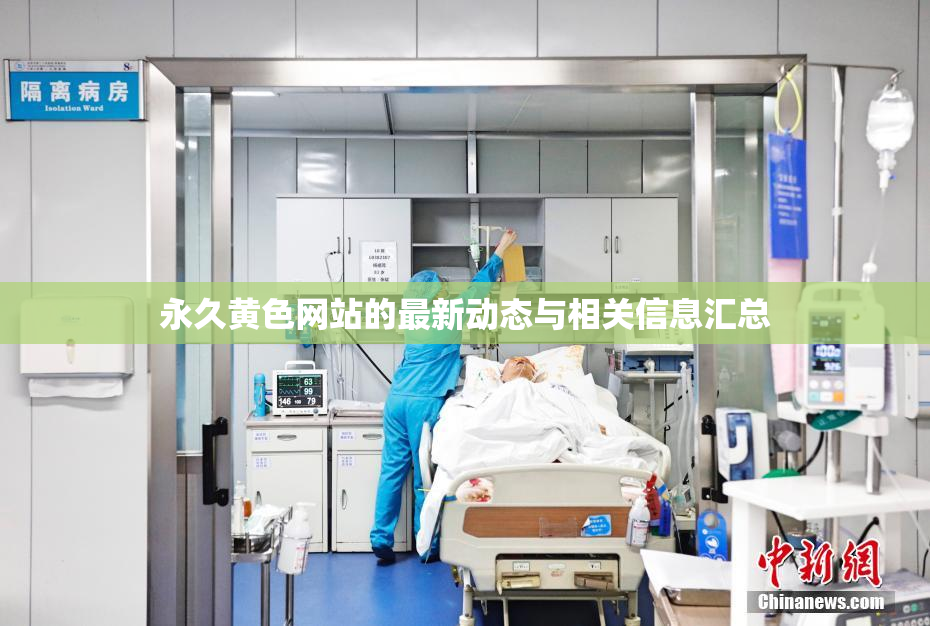 永久黄色网站的最新动态与相关信息汇总