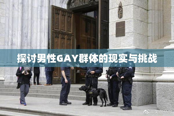 探讨男性GAY群体的现实与挑战