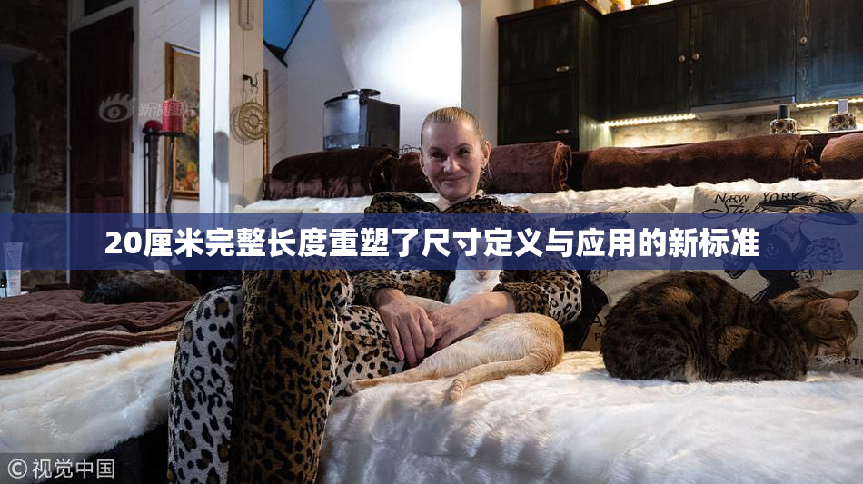 20厘米完整长度重塑了尺寸定义与应用的新标准