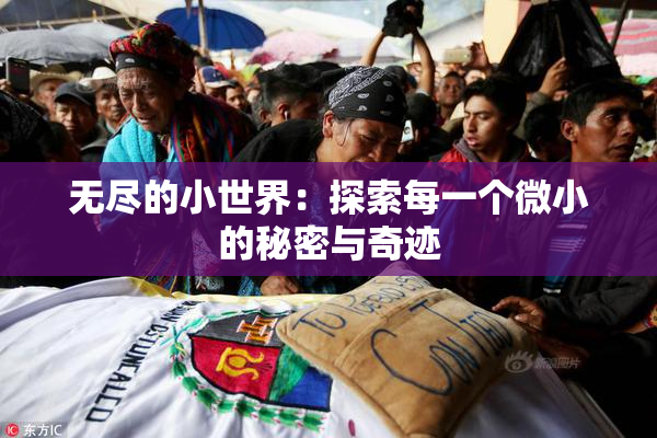 无尽的小世界：探索每一个微小的秘密与奇迹