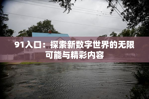 91入口：探索新数字世界的无限可能与精彩内容