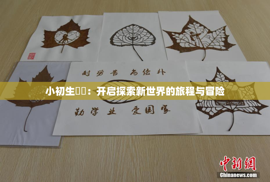小初生❌‌：开启探索新世界的旅程与冒险
