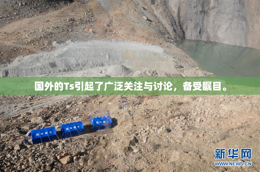 国外的Ts引起了广泛关注与讨论，备受瞩目。