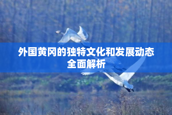 外国黄冈的独特文化和发展动态全面解析