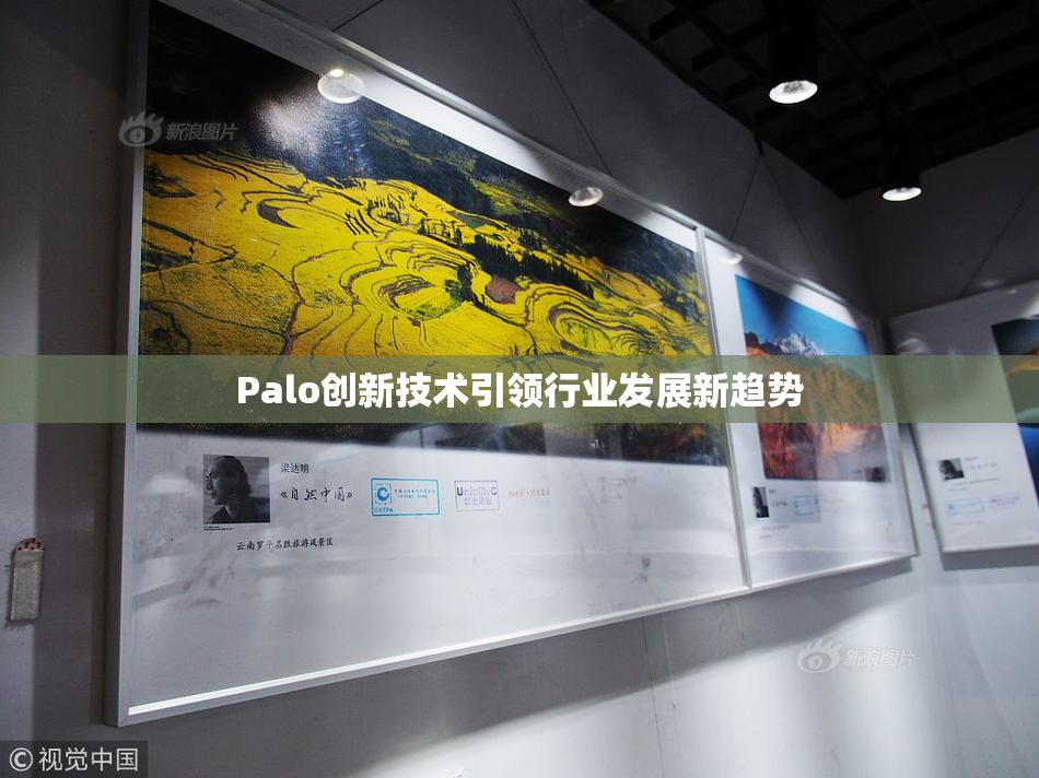 Palo创新技术引领行业发展新趋势