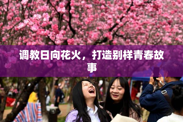 调教日向花火，打造别样青春故事