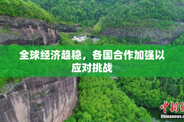 全球经济趋稳，各国合作加强以应对挑战