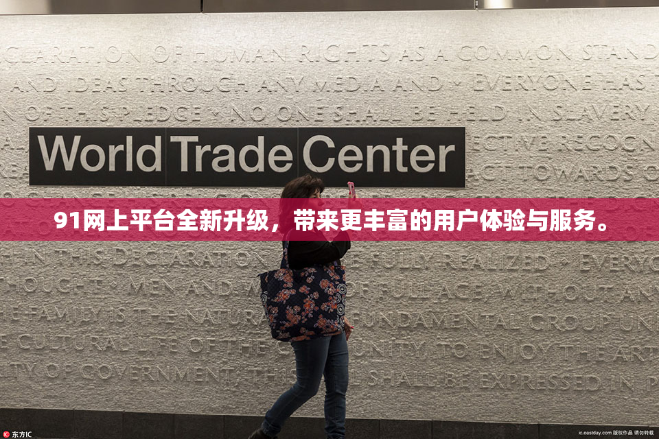 91网上平台全新升级，带来更丰富的用户体验与服务。