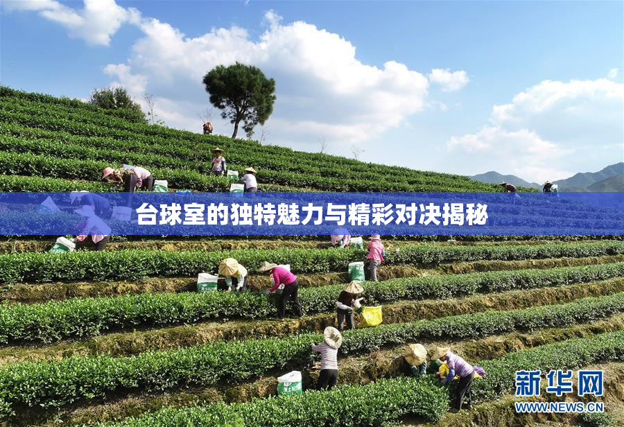 台球室的独特魅力与精彩对决揭秘