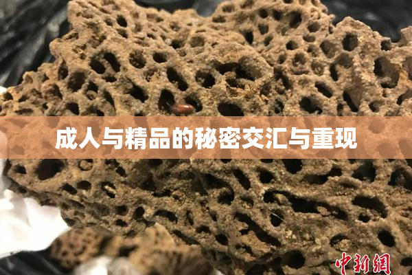 成人与精品的秘密交汇与重现