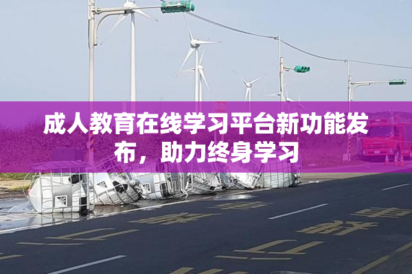 成人教育在线学习平台新功能发布，助力终身学习