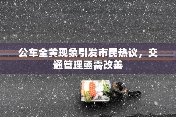 公车全黄现象引发市民热议，交通管理亟需改善