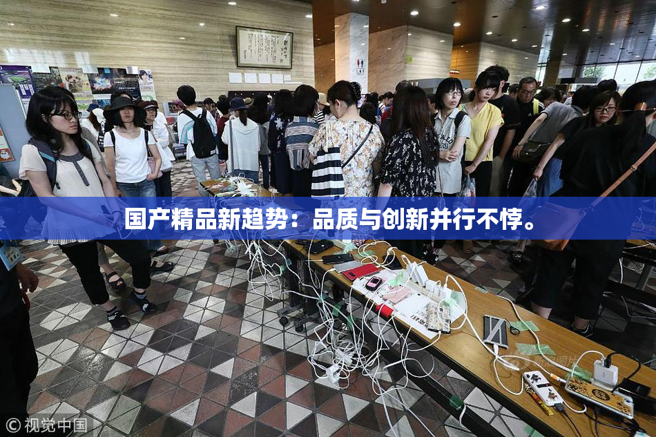 国产精品新趋势：品质与创新并行不悖。
